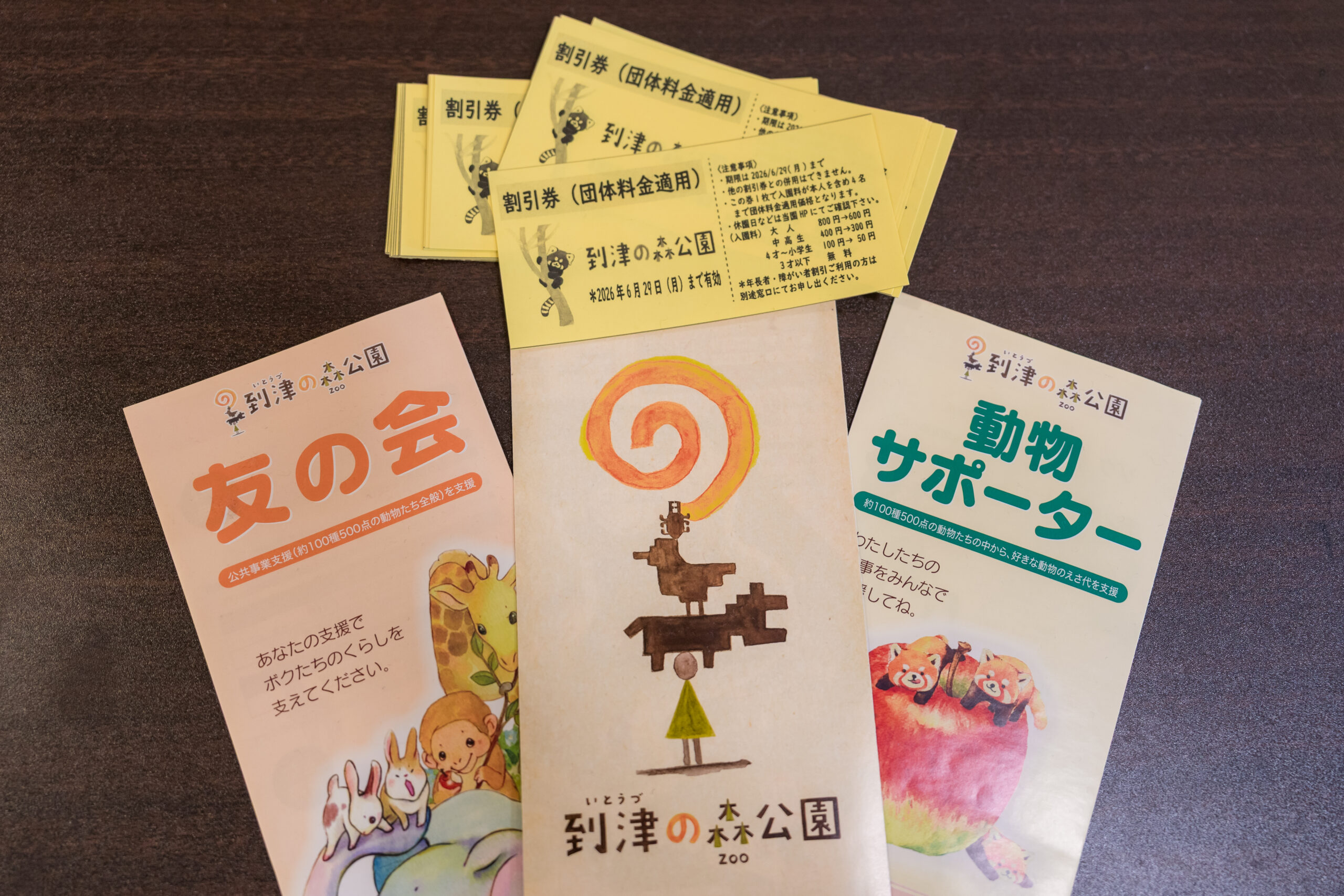 割引券企画