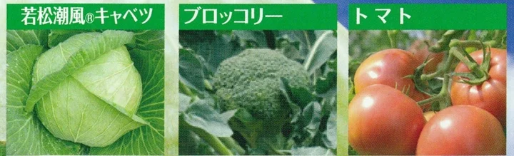 ブランド化イメージ